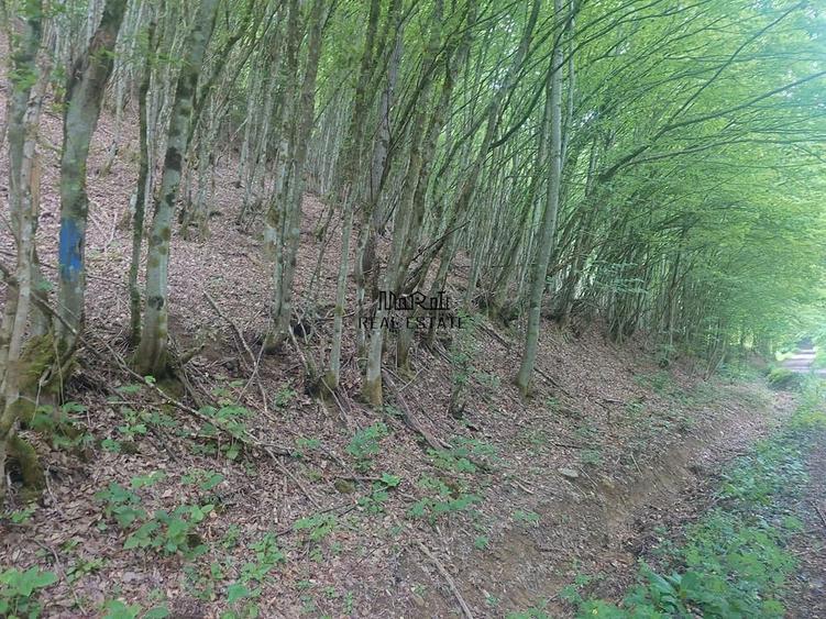 Teren de 3700 mp, în Bulzeștii de Sus