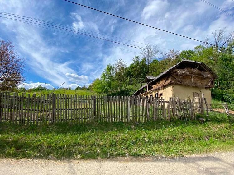 Teren de 9500 mp, în Livezi