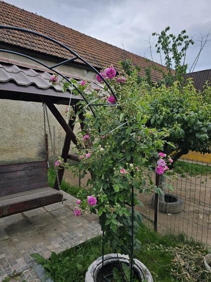 Casă individuală cu 3 camere cu Teren 2300 Mp în Nord-Est