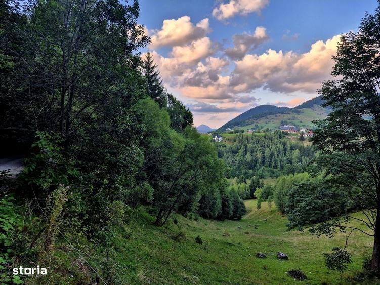 Teren investitie 8635 mp extravilan , Pestera Brasov - 7