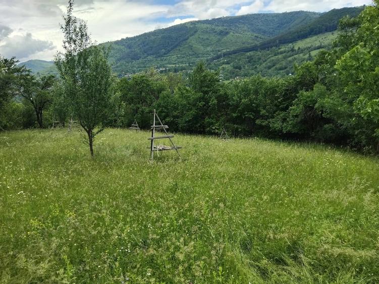 Teren de 1200 mp, în Valea Doftanei