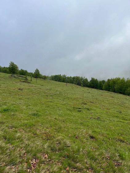 Teren de 15000 mp, în Bubești