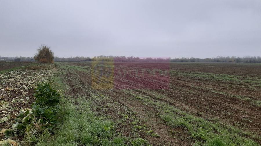 Teren Construcții intravilan de 2250 mp, în 1 Decembrie