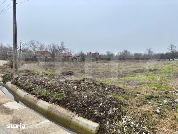 Teren de 1331 mp, în Mischii