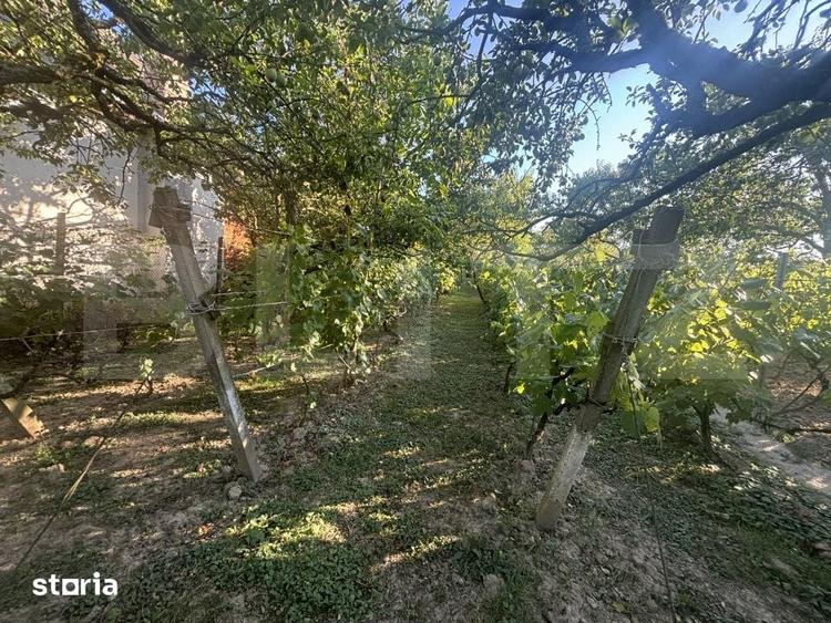 Casă cu 2 camere cu Teren 1021 Mp în Viile Satu Mare