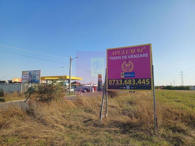 Teren de 30000 mp, în Săbăreni