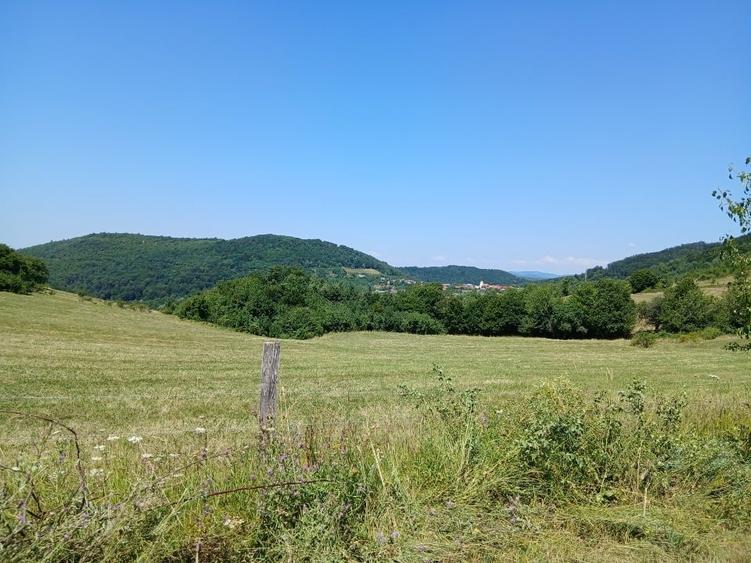 Teren Construcții intravilan de 3625 mp, în Ravensca