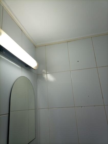 Garsonieră semidecomandată în Palazu Mare