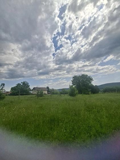 Teren de 5000 mp, în Central