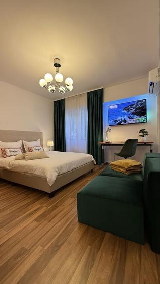Apartament 1 camera Piata Cipariu - Centru - 1