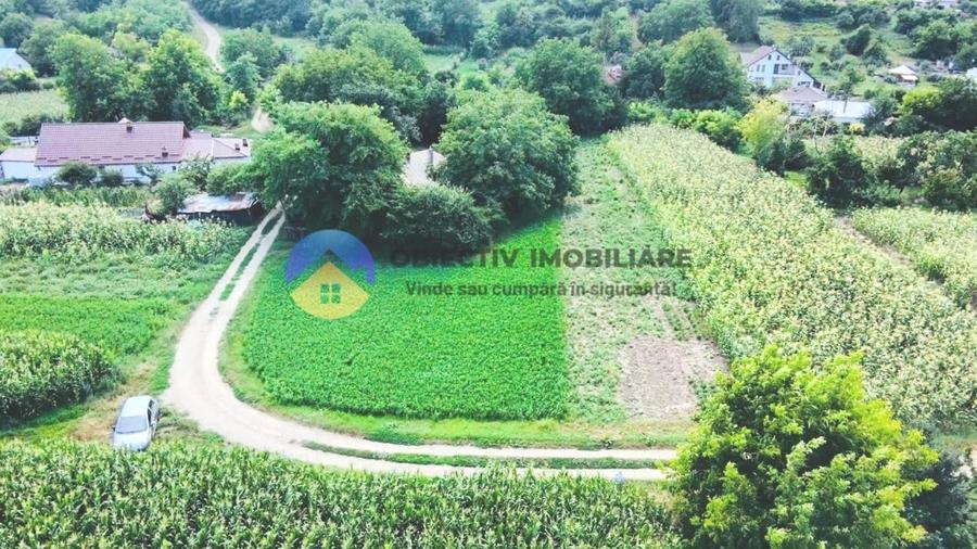 Teren intravilan de 4133 mp, în Boțești