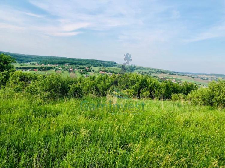 Teren Construcții intravilan de 11388 mp, în Hidișelu de Sus