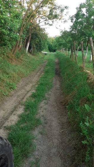 Teren de 12421 mp, în Big-Bascov