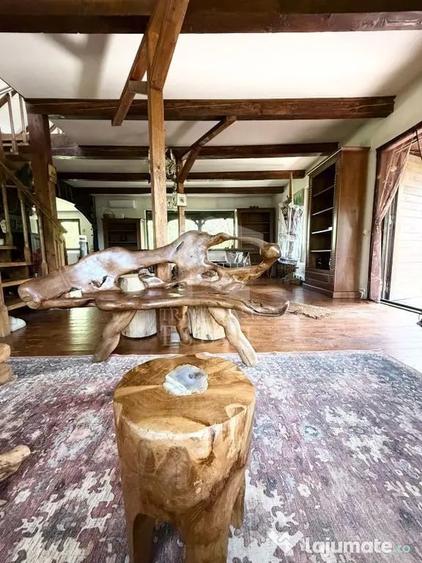 Casa autentixa maramureseana de vanzare in Snagov-Tancabesti - 4