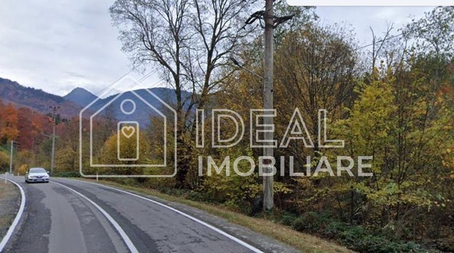 Teren Construcții intravilan de 1113 mp, în Cârțișoara
