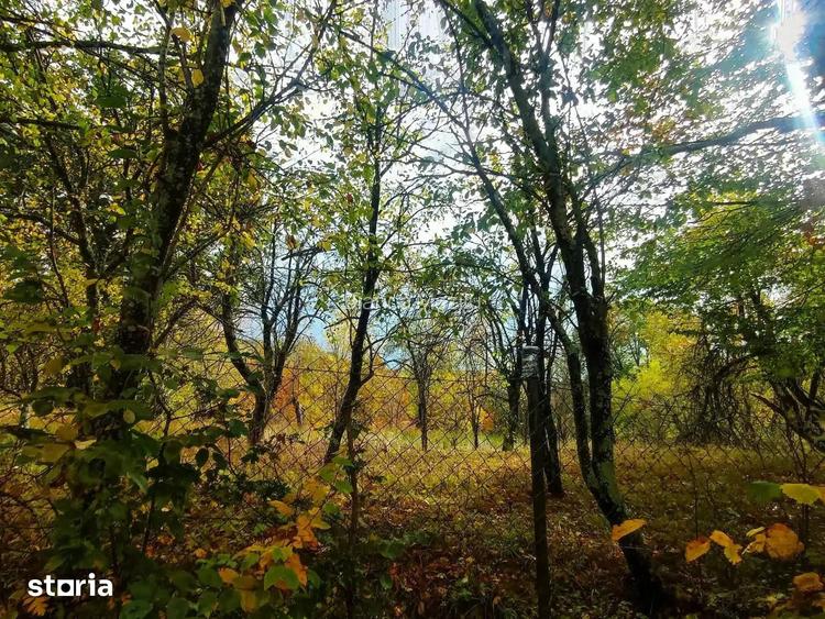 TEREN DE VANZARE INTRAVILAN | SULTANU | VISINESTI