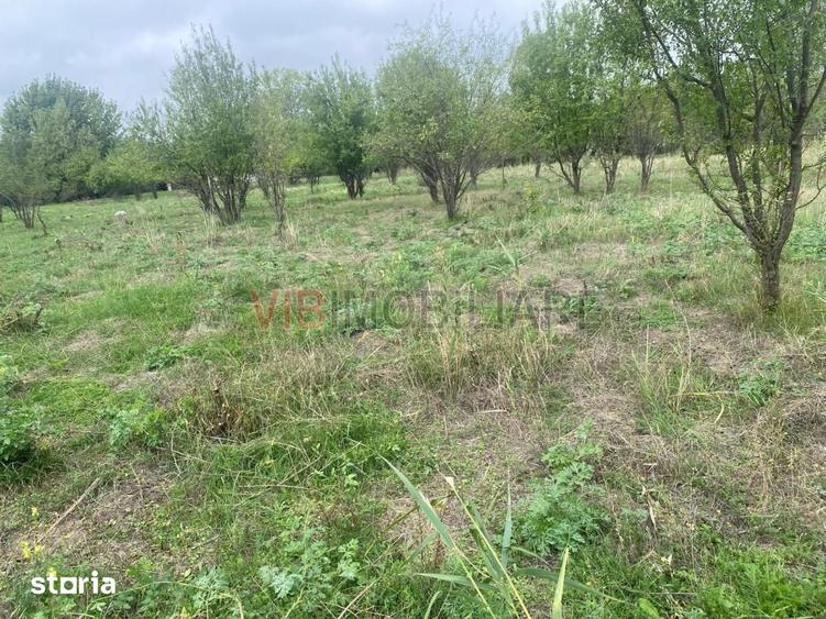 Teren de 8100 mp, în Mărtinești