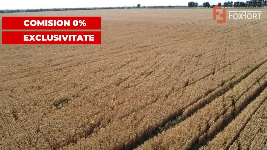 COMISION 0% Teren de vanzare intravilan de 24.700 mp - Padur - 11