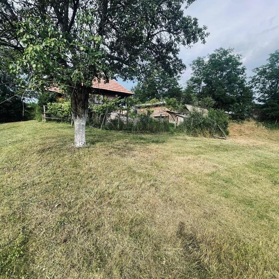 Casă cu 2 camere în Plai