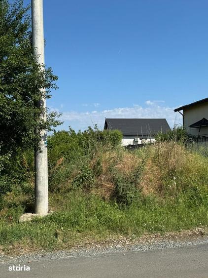 Teren de 1000 mp, în Brănești
