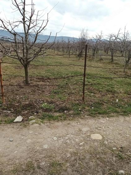 Teren de 2500 mp, în Dragodănești