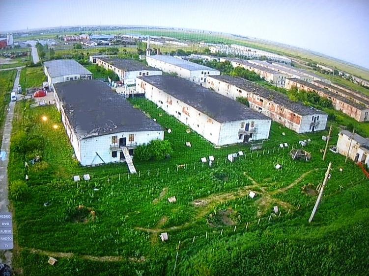 Spațiu industrial, de 40,000 mp, în Orțișoara