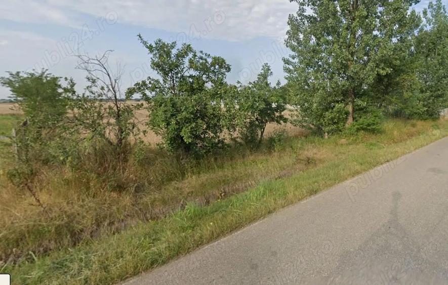 Teren de 3500 mp, în Independența