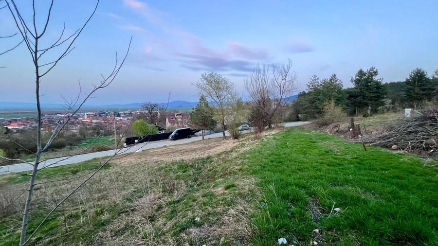 Teren Construcții intravilan de 495 mp, în Poiana Angelescu