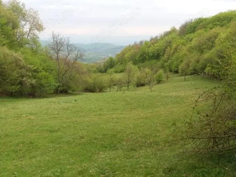 Teren de 27500 mp, în Săcărâmb