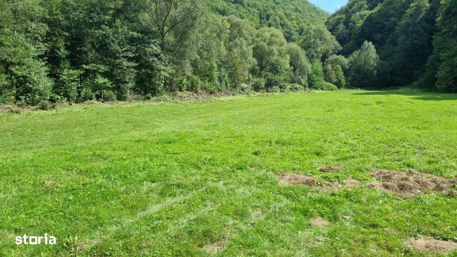 Teren intravilan, cf, zona Valea Ierii - 1