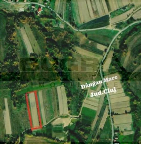 Teren Construcții extravilan de 4265 mp, în Dângău Mare