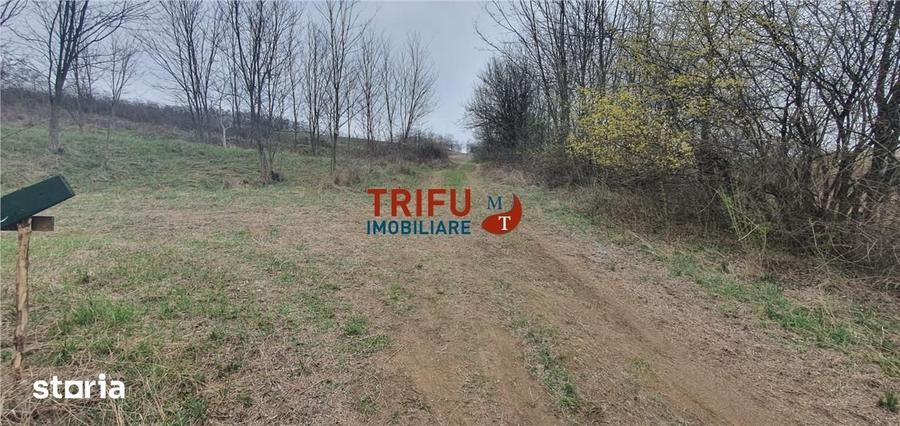 Teren de 5300 mp, în Ciugud
