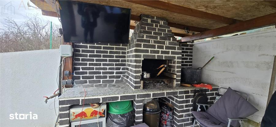 Casă cu 5 camere cu Teren 1450 Mp în Viișoara
