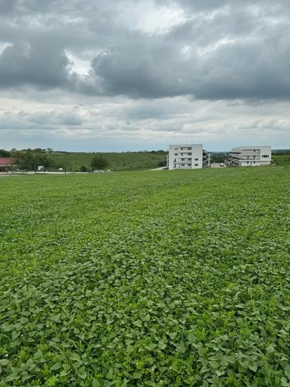 Teren intravilan de 8968 mp, în Varlaam
