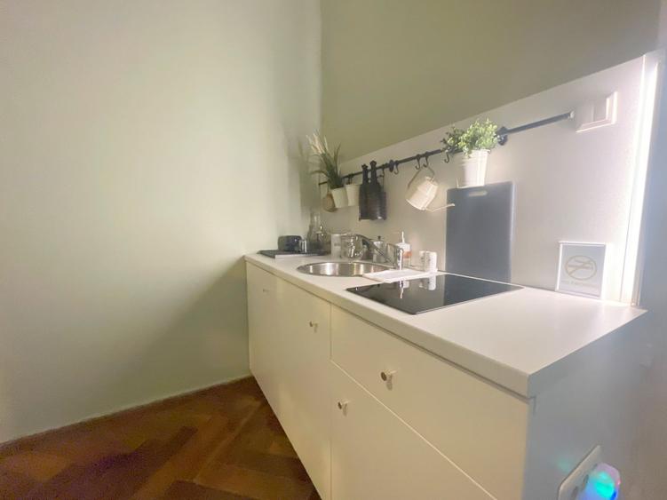 Apartament in Piata Unirii Timisoara - 10