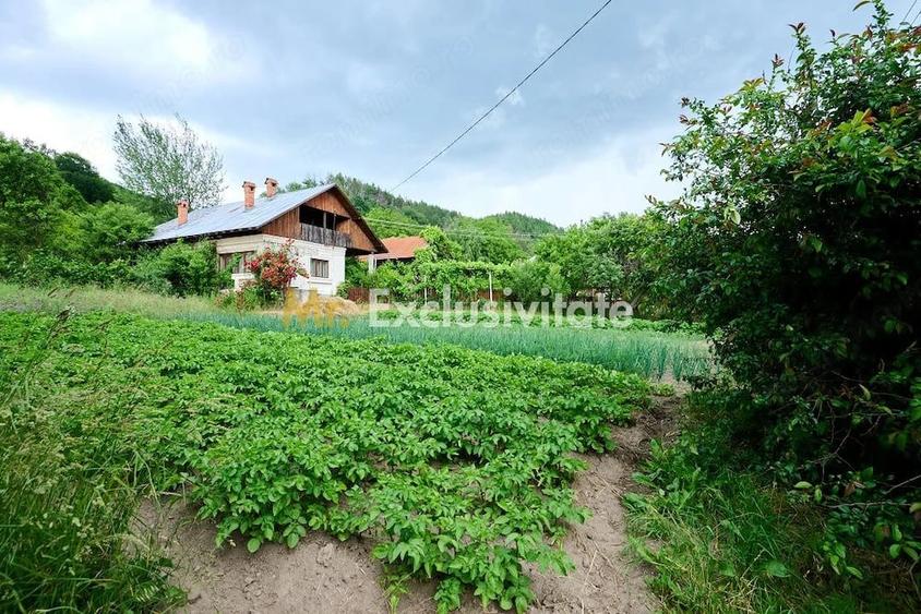 Casă cu 3 camere cu Teren 4696 Mp în Central