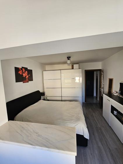 Apartament cu 2 camere decomandat în Turnișor