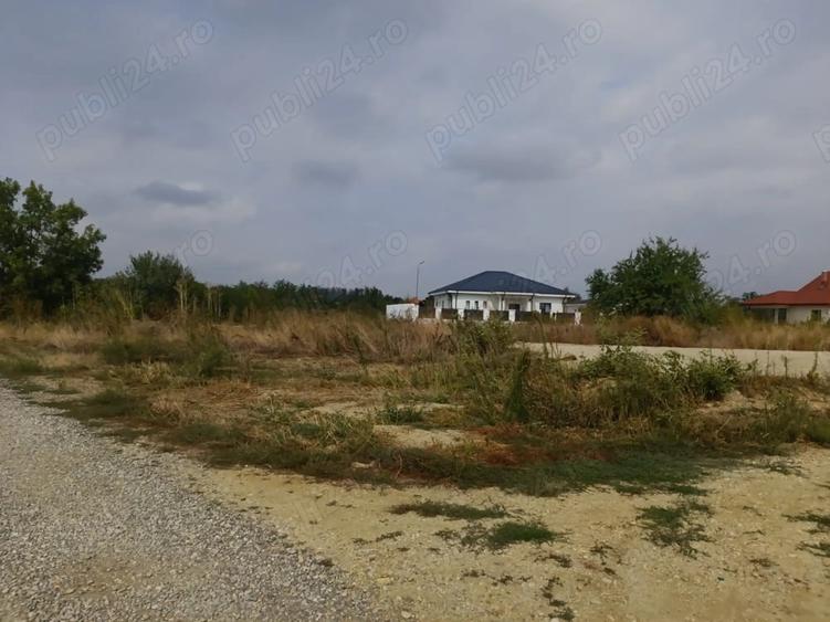 Teren de 5000 mp, în Tărtășești