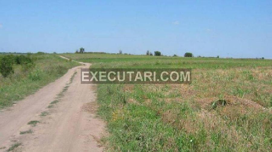 Teren agricol extravilan de 60000 mp, în Central