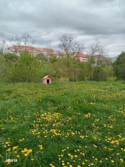 Teren de 4000 mp, în Central