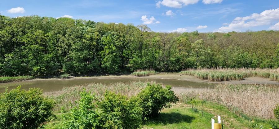 Teren Voluntari, Comuna Ganeasa - 5