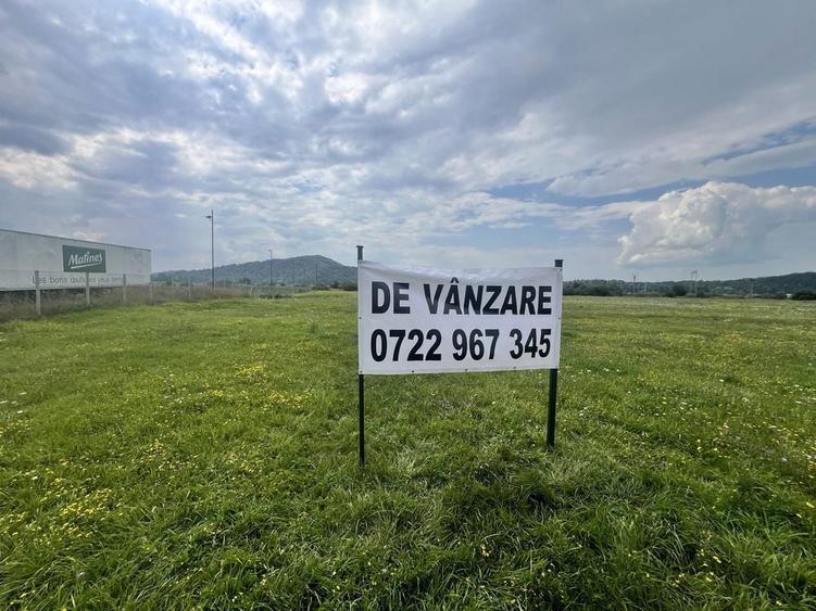 Teren 10.800 mp de vanzare - 5