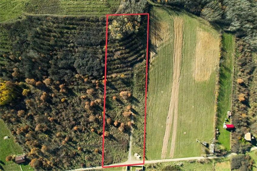 Teren 7744 mp la Coada Noului Lac de Agrement Baile Felix - 2