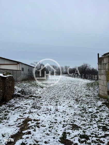 Casa de vanzare D+P+E+M cu 5 camere in Livada De Bihor - 6