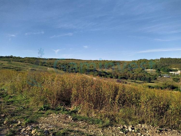 Teren intravilan de vanzare pentru dezvoltare imobiliara, Saldabagiu de Munte - 4