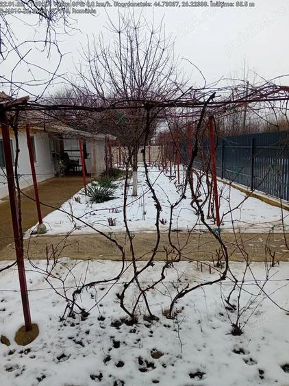 Vand casa langa Bucure?ti comuna gruiu - 3