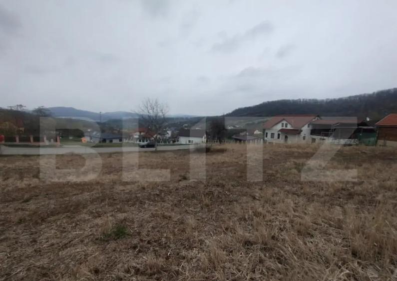 Teren intravilan, 2 fronturi+utilitati la front, 9,63 ari, z - 1