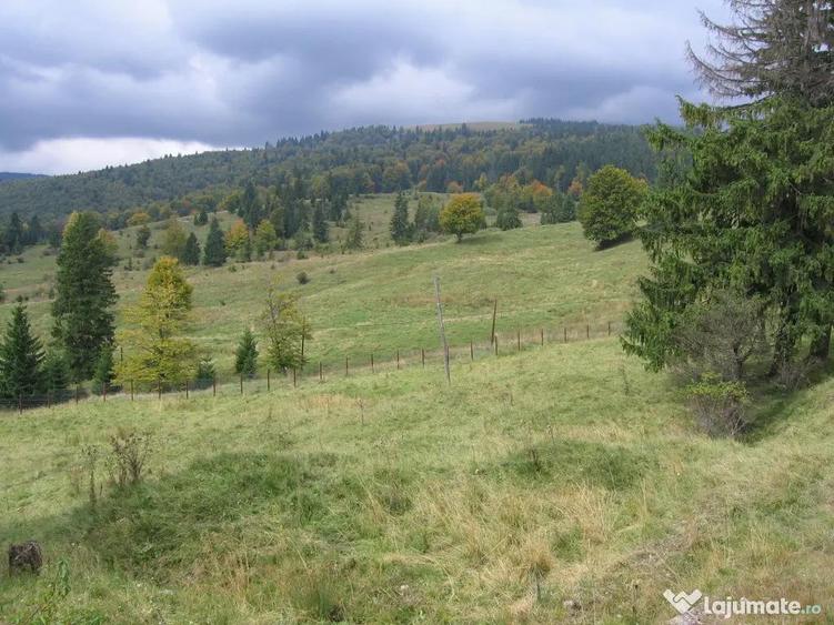 Predeal-Teren intravilan situat in Paraul Rece - 2