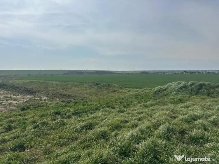 Teren extravilan 10.000 mp, DN-reprezentanta VOLVO -dezmembr - 2