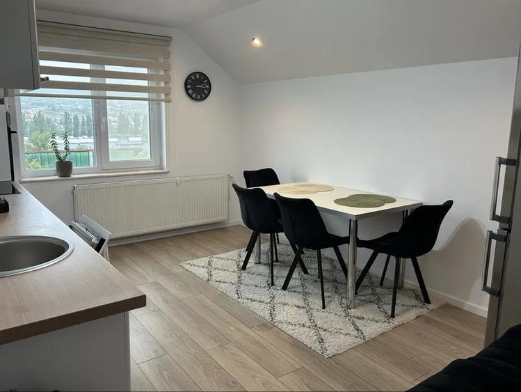 Apartament 3 camere la casa Gruia - 4